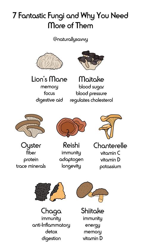 The Many Health Benefits Of Mushrooms Naturally Savvy
