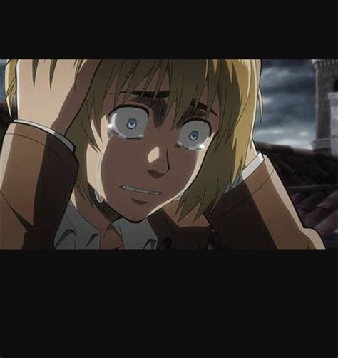 armin x reader fighting our war chapter 8 and so it begins wattpad