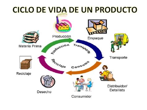 Ciclo De Vida De Un Producto