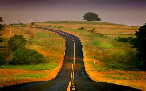 Curved Road The Magnificent Natural Scenery Wallpaper 2560x1600