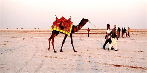 Kutch Rann Special Couple Tour With Bhuj And Mandvi Gujarat