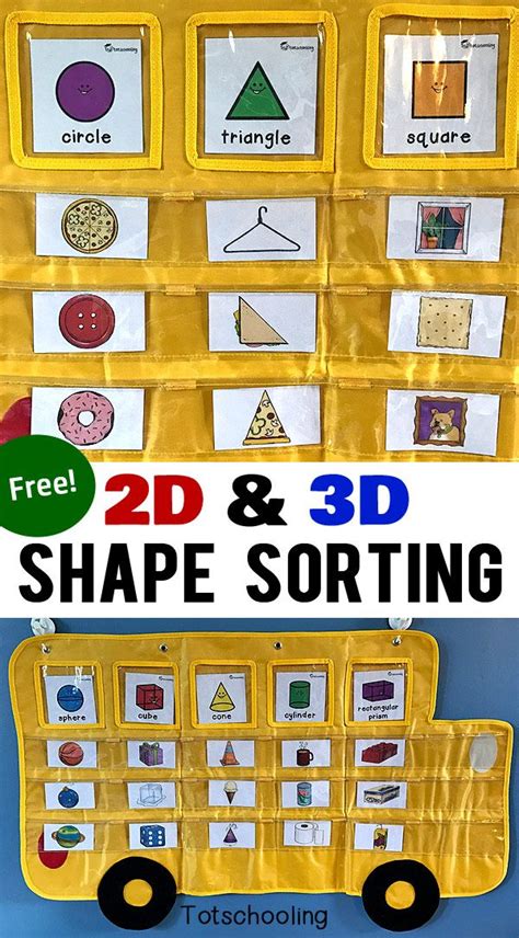 2d And 3d Shapes Sorting Cards Apple To Zebra Pocket Chart Shape
