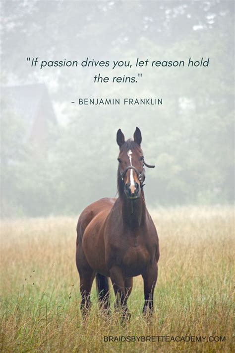 Pin By Colette Ogren On Horses Horse Quotes Inspirational Horse