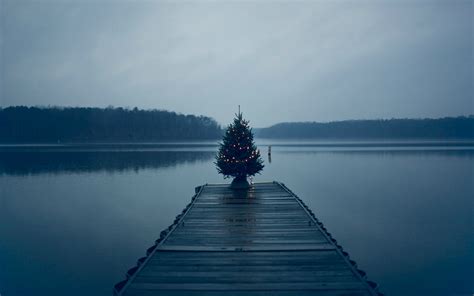 Christmas Tree On Pier Hd Nature 4k Wallpapers Images Backgrounds