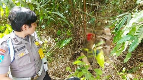 Kronologi Dan Fakta Fakta Penemuan Mayat Siswi Smk Kristina Gultom Jasad Tanpa Busana Di Ladang