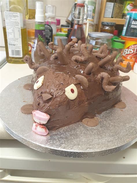 my so requested a hedgehog fail cake for his 28th birthday i gave it my best r baking