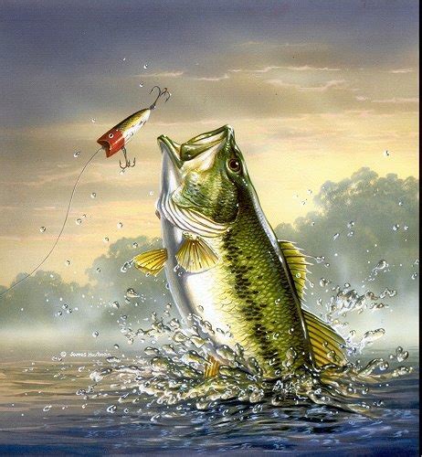 48 Free Bass Fishing Wallpaper