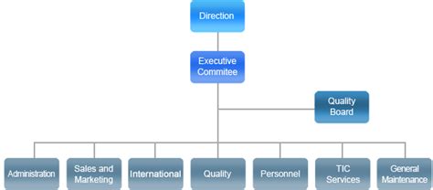Organizational Chart Platinum Samandy