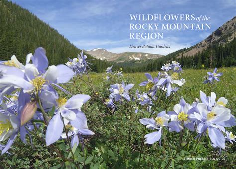 Wildflowers Of The Rocky Mountain Region Workman Publishing