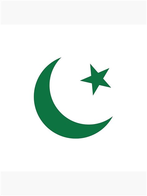 This is a file from the wikimedia commons. Coussin « Drapeau du Pakistan Crescent And Star », par ...