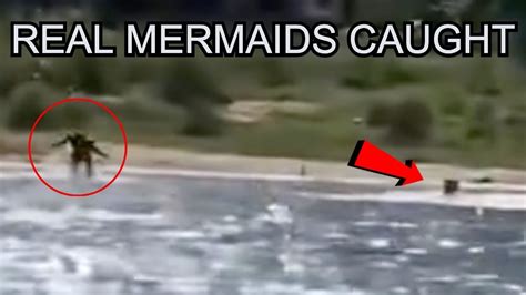 Real Mermaids Caught Swimming On Camera Youtube