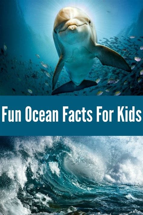 Ocean Facts For Kids A Fun Way To Learn About The Ocean And Teach