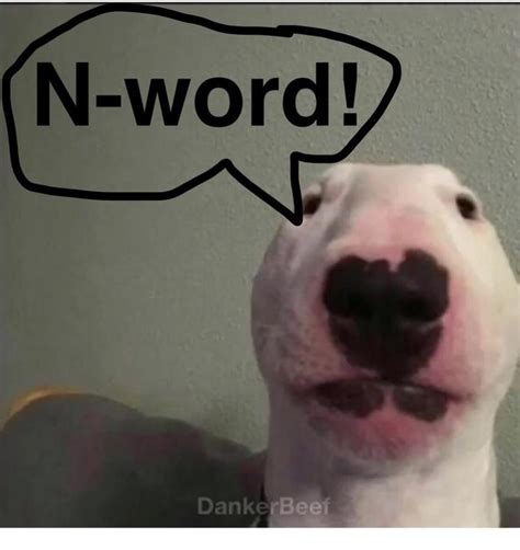 Nelson The Bull Terrier Know Your Meme