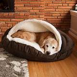Large Beds For Dogs