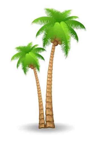 Vector Palm Trees Clip Art Vector Wikiclipart