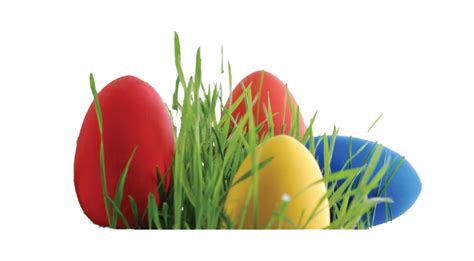 Easter Grass Png Images Transparent Free Download Pngmart