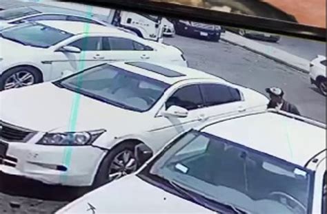 مصادر الأمن يقبض على سارق السيارة في فيديو متداوَل