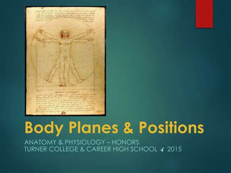 Ppt Body Planes And Positions Powerpoint Presentation Free Download