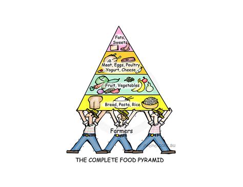 The Complete Food Pyramid Inkcinct Cartoons