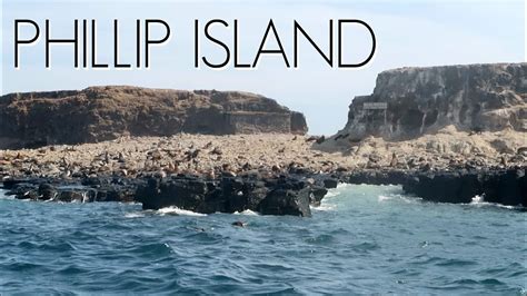 Temperature, precipitation, wind, pressure, humidity of phillip island/australia and for any plase of the world. BOATING TO SEAL ROCK // Phillip Island, Australia - YouTube