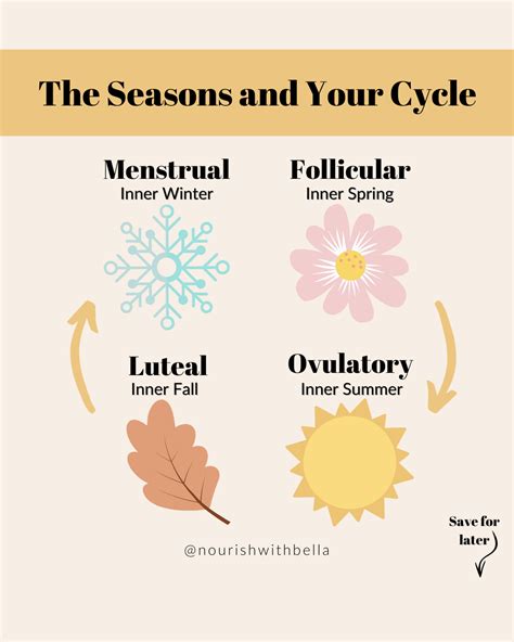 How To Optimize Your Life With Your Cycle Nourish With Bella