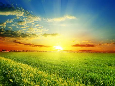 Фотография Солнце Природа Поля Небо Пейзаж Рассветы и 3000x2250