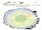 Mammalian tree of life traces evolution of mammals back 100 million ...