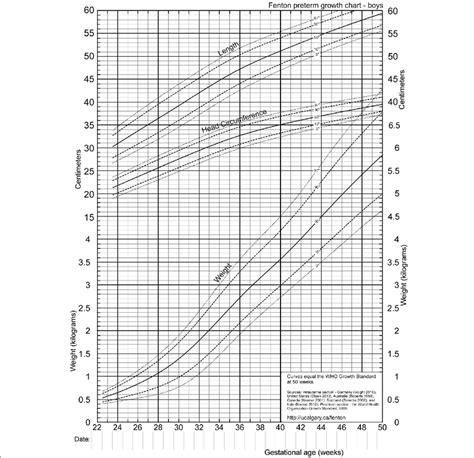 How To Read Fenton Growth Chart Best Picture Of Chart Anyimageorg