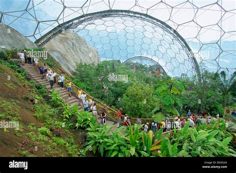 Inside The Humid Tropics Biome At The Eden Project Opened In 2001 At