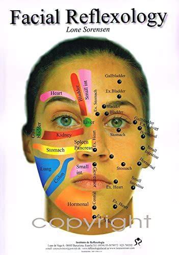 Facial Reflexology Chart A3 By Lone Sorensen Lopez Uk Lone Sorensen Lopez