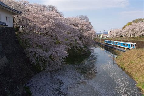 Search the world's information, including webpages, images, videos and more. みちのく桜の旅（2）・・・霞城公園（山形城跡） - めいすいの ...