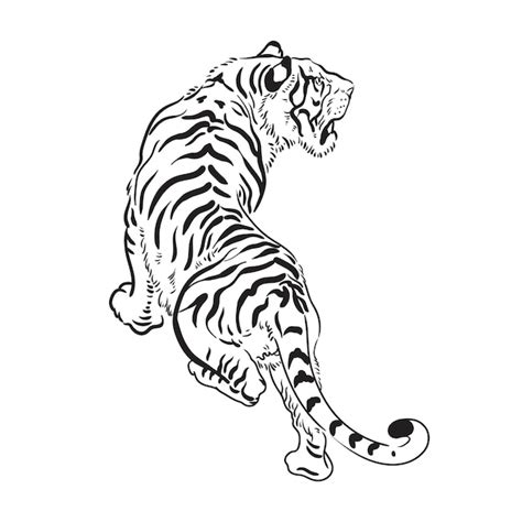 Premium Vector Hand Drawn Roaring Tiger Illustration