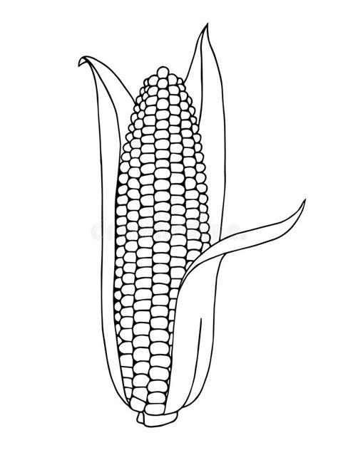 We found for you 15 corn clipart black and white png images with total size: Corn Graphic Art Black White Illustration Stock Vector ...