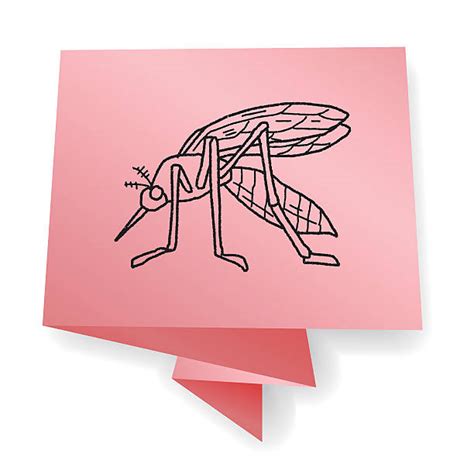 170 Gnat Drawings Stock Photos Pictures And Royalty Free Images Istock