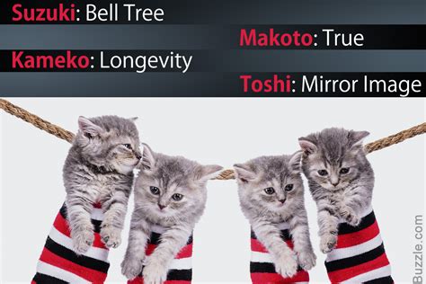 Kawaii Neko 100 Cute Japanese Cat Names With Their