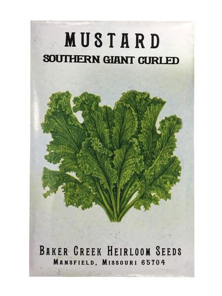 Get The Tips And Guidelines On Growing Mustard Greens