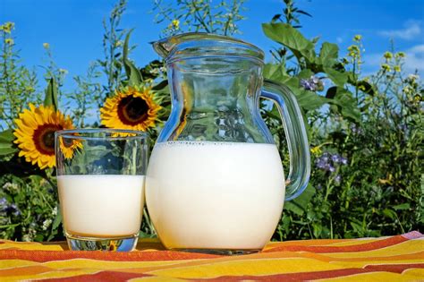 Best Milk Brands In India Mishry