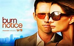 Burn Notice Poster Gallery | Tv Series Posters and Cast