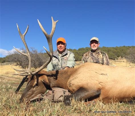 Elk Hunts Silver Spur Outfitters