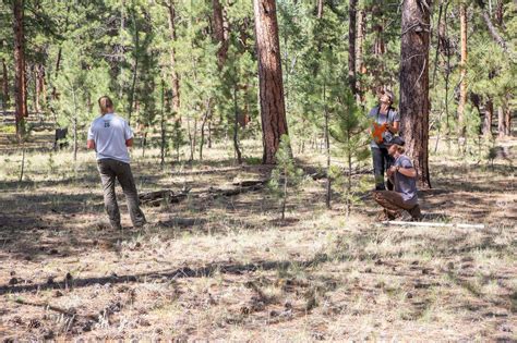 This journal publishes eight research articles. Forest Sciences Graduate Program - Warner College of ...