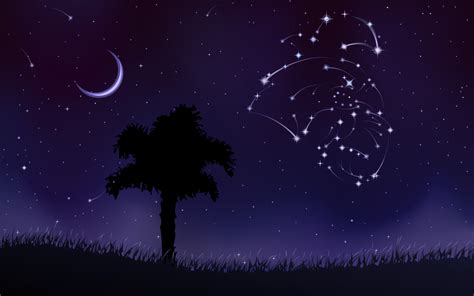 46 Night Sky Wallpaper Constellations On Wallpapersafari