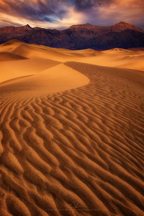 Sizzling Dunes By Ryan Buchanan On 500px Deserts Of The World Sand Dune