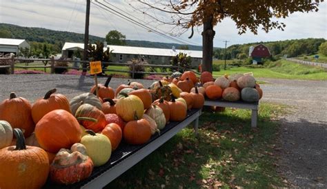 2023 Finger Lakes Fall Festivals October Things To Do In Autumn In