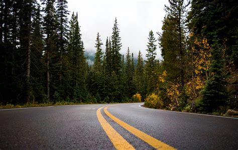 Gray And Yellow Road Between Forest Hd Wallpaper Wallpaper Flare