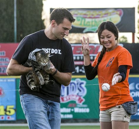 tara the hero cat ‘throws out first pitch at minor league game the washington post