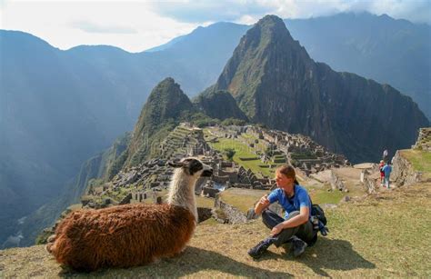 Tourist Und Lama In Machu Picchu Redaktionelles Stockfotografie Bild