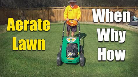 How And When To Aerate Your Lawn Youtube