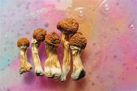 Buy Psilocybin Mushrooms Lsd For Sale Hallucinogens Lab