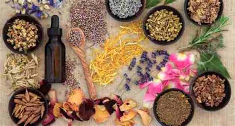 Traditional African Medicine Studied To Be A Powerful Natural Anti