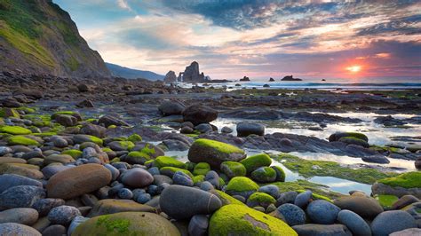 Rocks Stones Sunset Sunlight Beach Ocean Moss Landscape